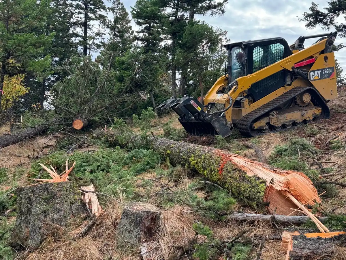 Clearing Trees and Brush for Home Sites - 1