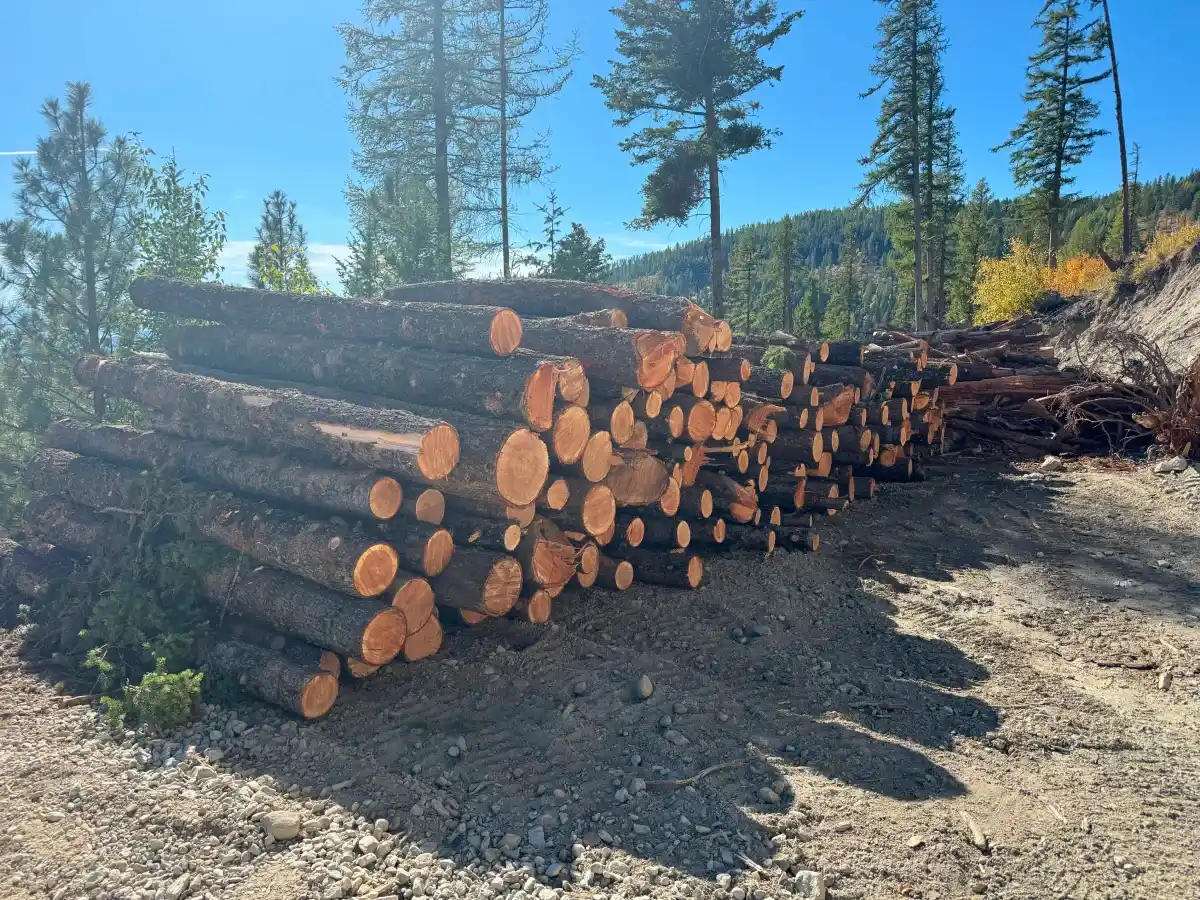 Preparing Timber for Sale - 3