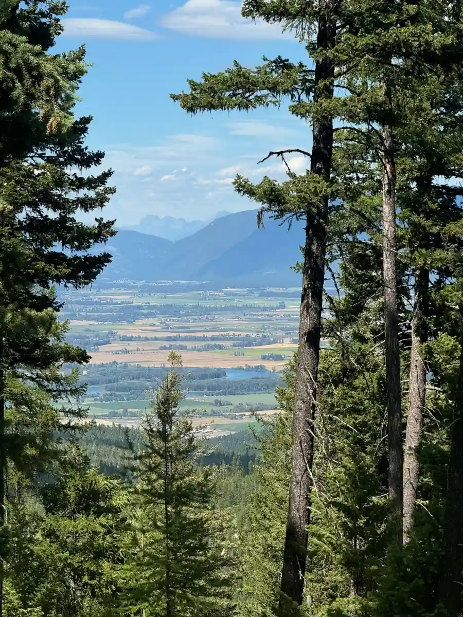 Top of The Mountain - 1