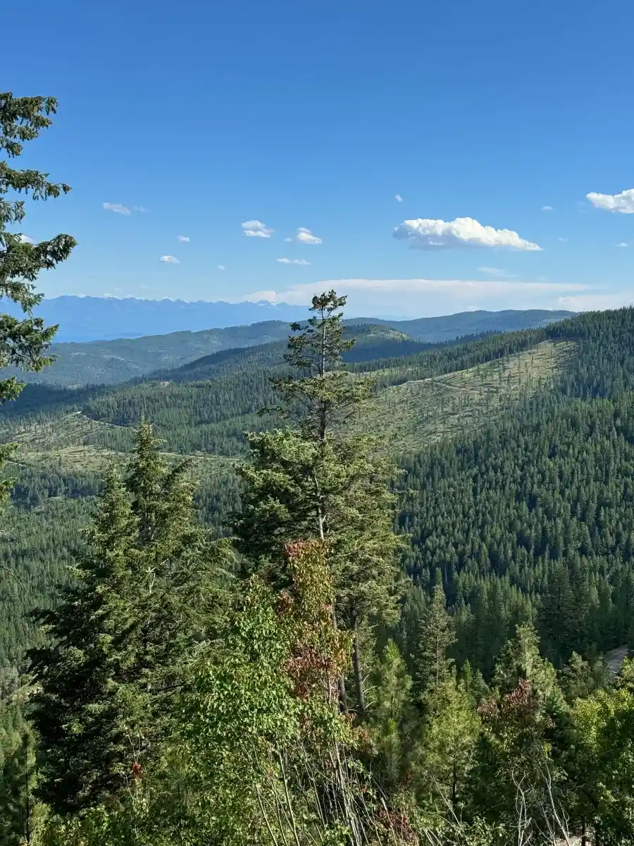 Top of The Mountain - 2