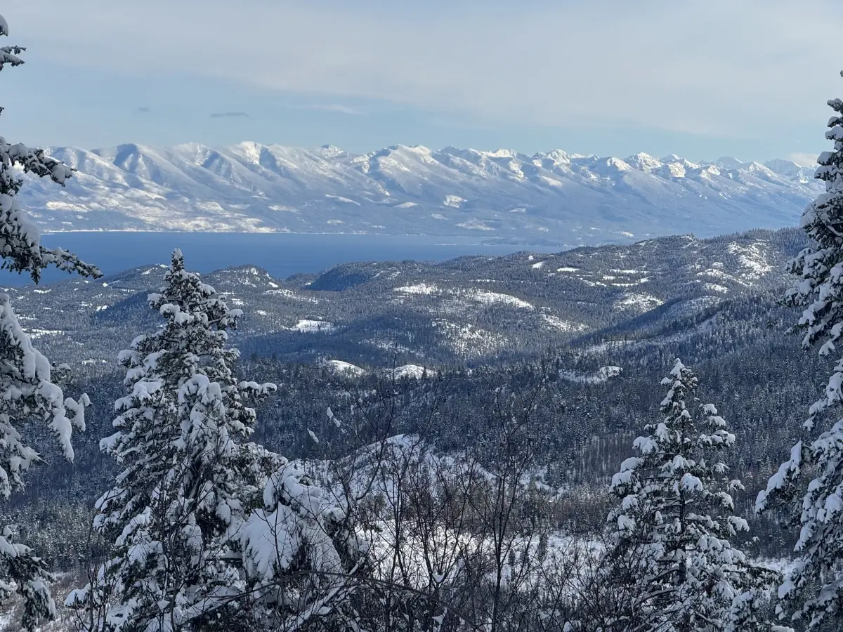 Top of The Mountain - 4