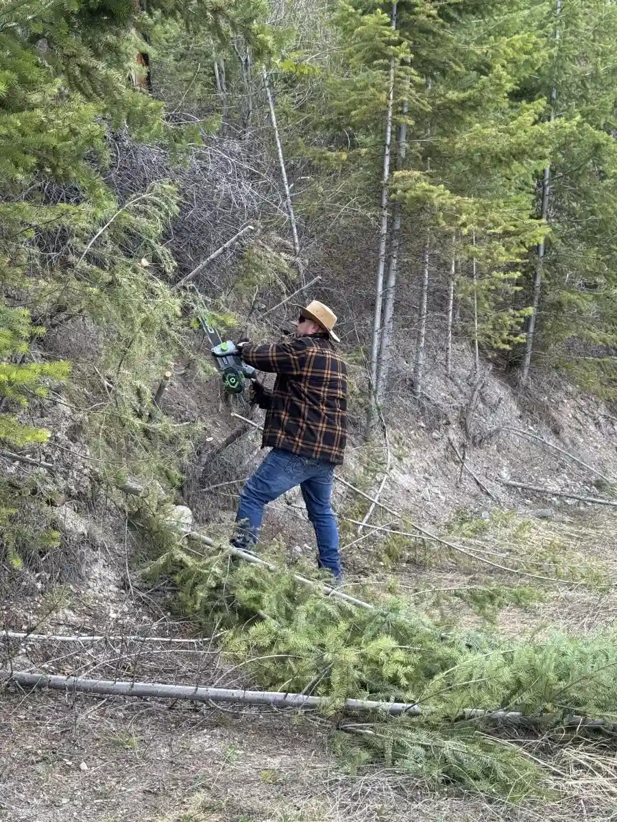Surveying Undeveloped Land and Planning the Road - 4
