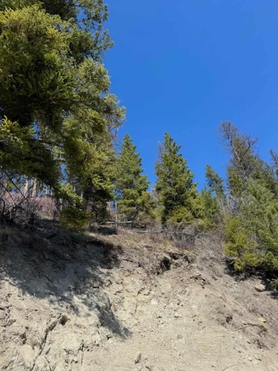 Building a Road to The Top of The Mountain - 10